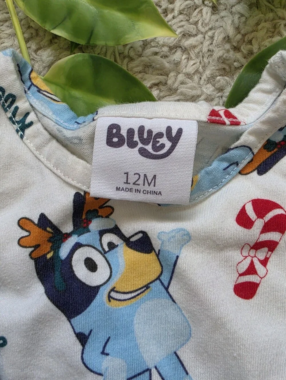 Bluey excellent isn
